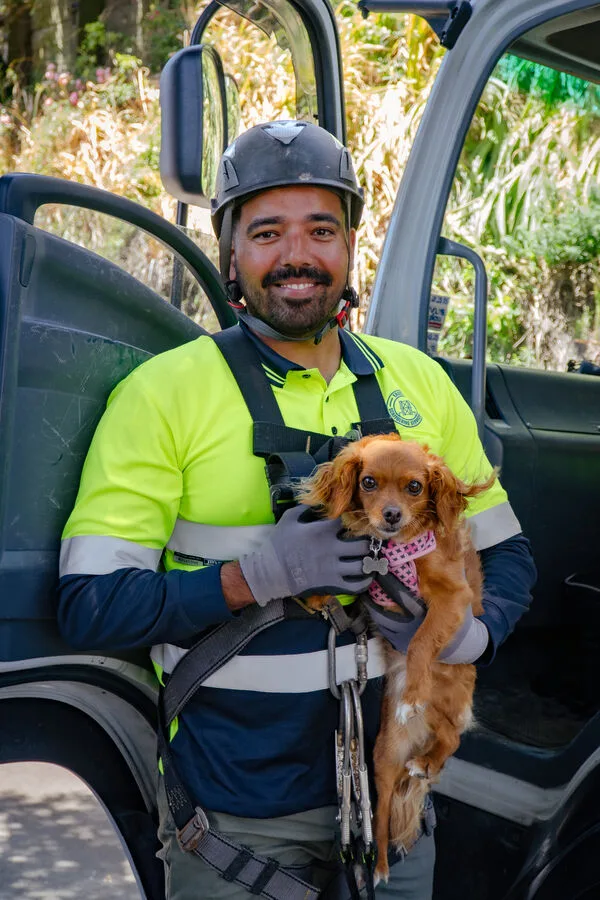 Even the site dog approves
